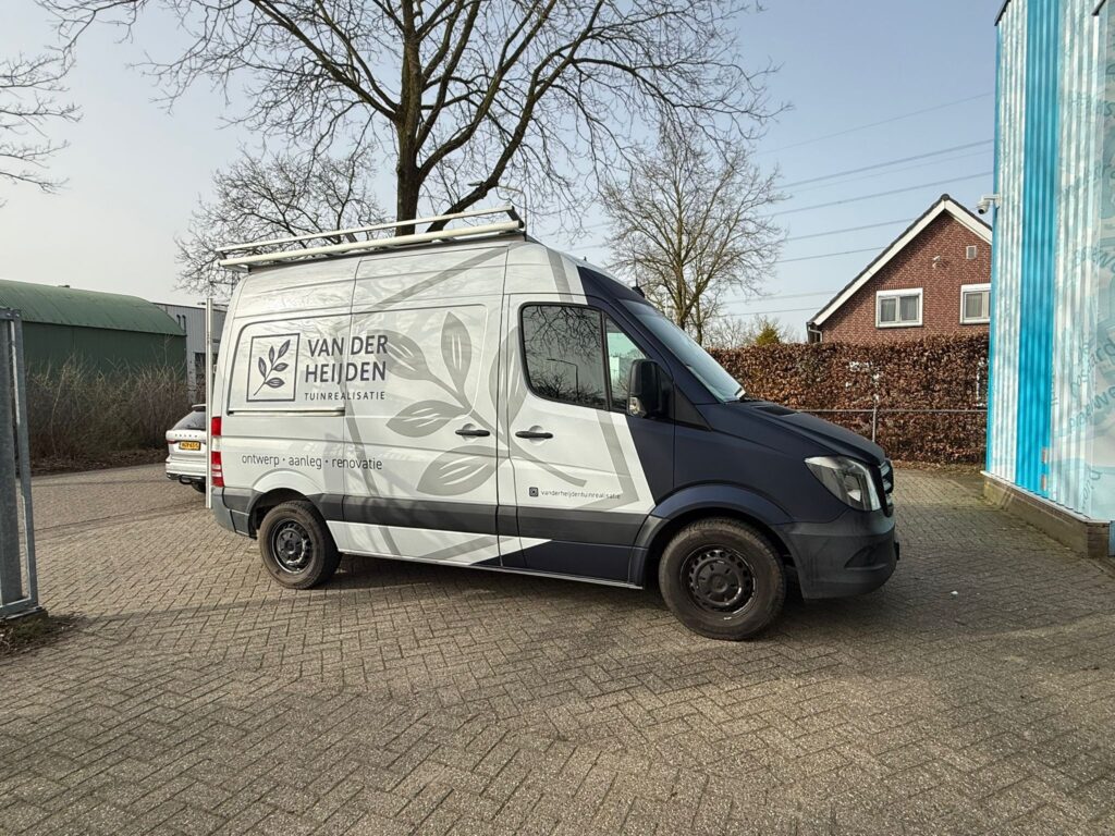 whatsapp image 2026 03 06 at 15.31.40 (1)